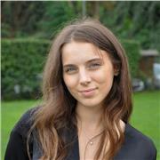 Supporto allo studio, ripetizioni di matematica, italiano, storia, economia e diritto